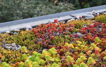 the cost of Pitmedden green roof installation
